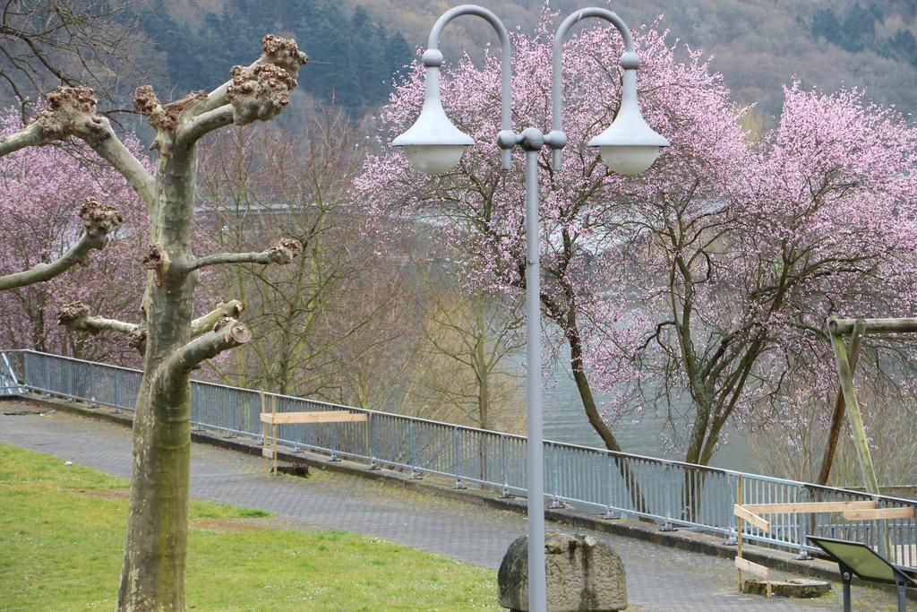 Haus Brandenburg An Der Mosel Lejlighed Zell Eksteriør billede